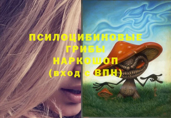 PSILOCYBIN Каменка