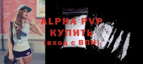 PSILOCYBIN Каменка