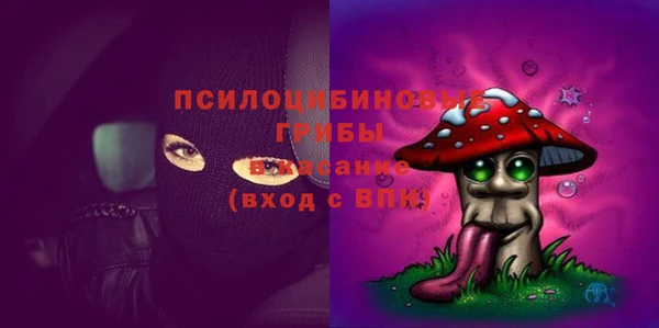 синтетический гашиш Каменногорск