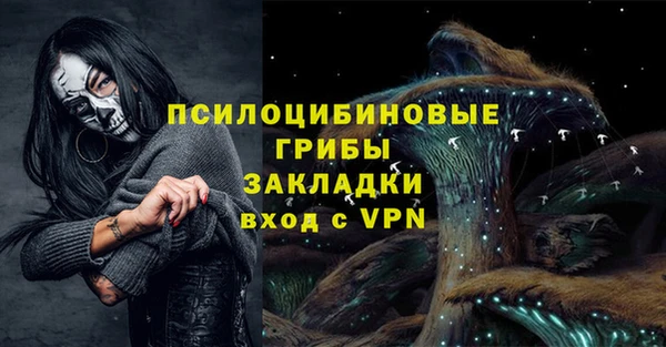 синтетический гашиш Каменногорск