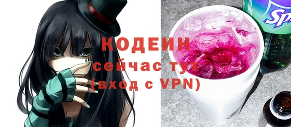 PSILOCYBIN Каменка
