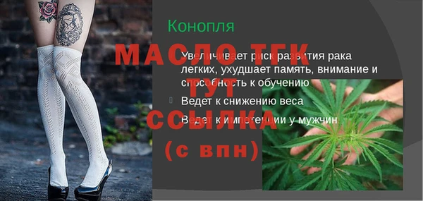 PSILOCYBIN Каменка